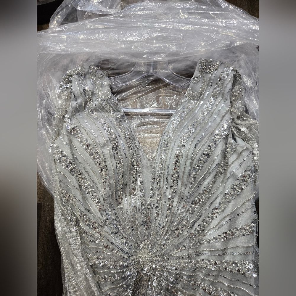 Chicas Elegant Silver Evening Gown - Picture 8 of 12